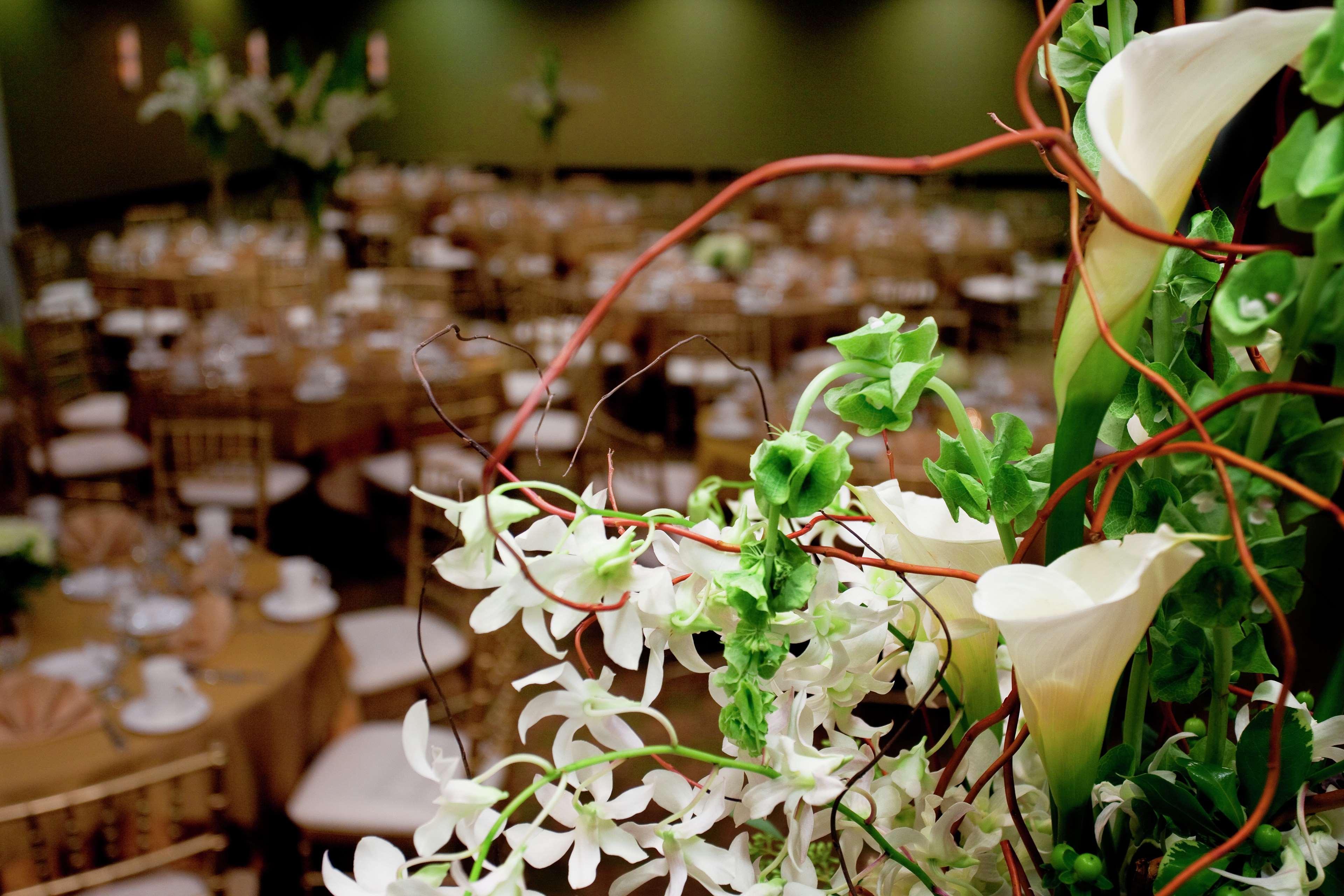 Hilton Garden Inn Seattle/Bothell Exteriér fotografie